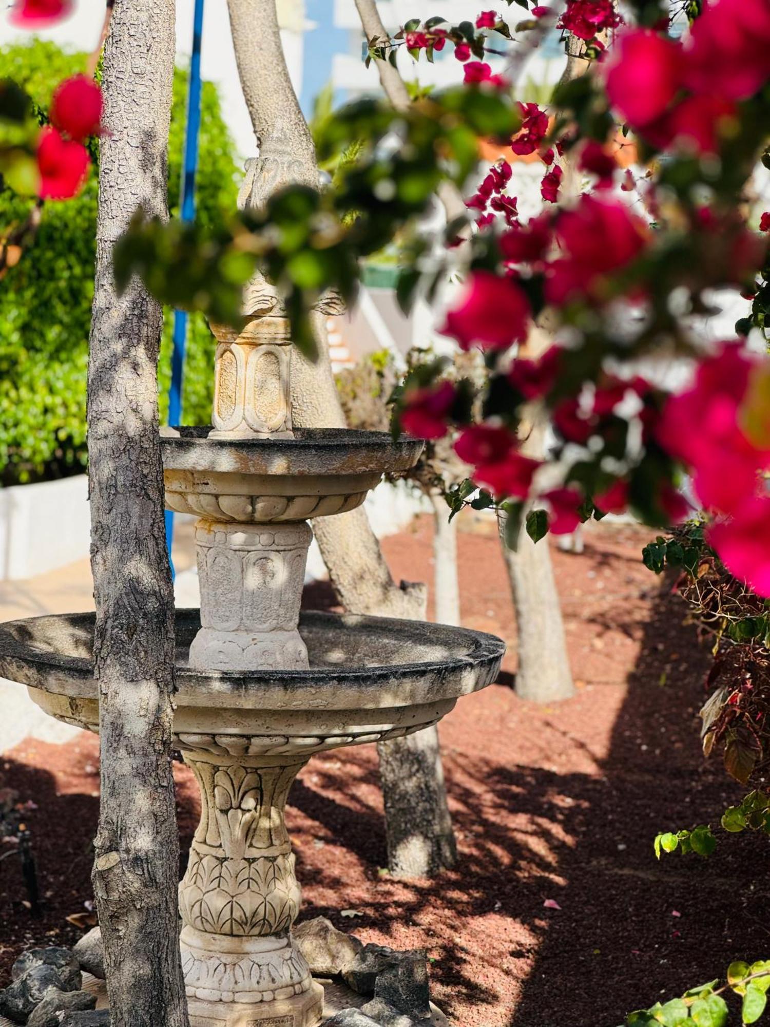 Appartement Sunshine Daydream Costa Adeje - Ac
